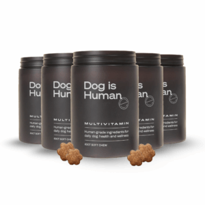 dog multivitamin soft chews